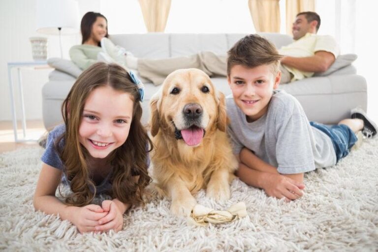 two kids and their golden retriever