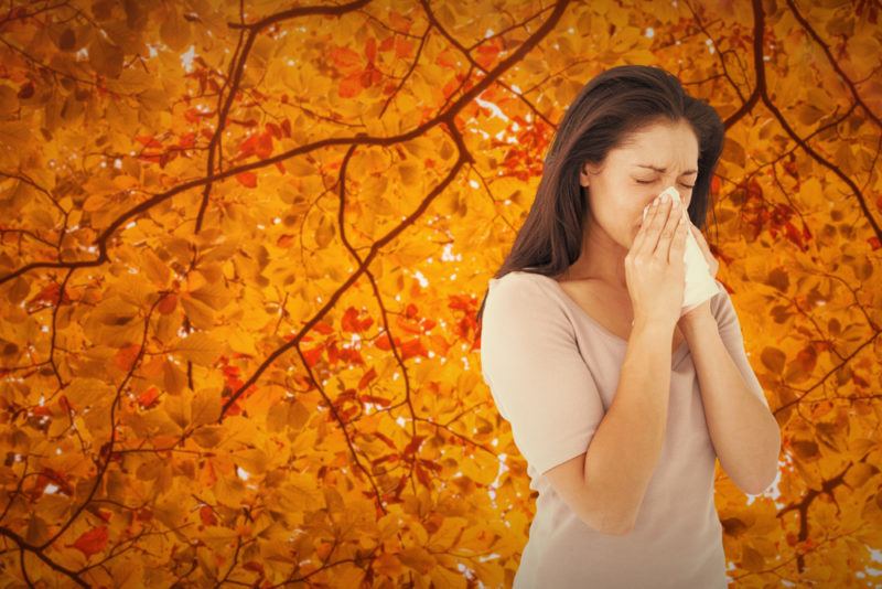 sneezing during fall