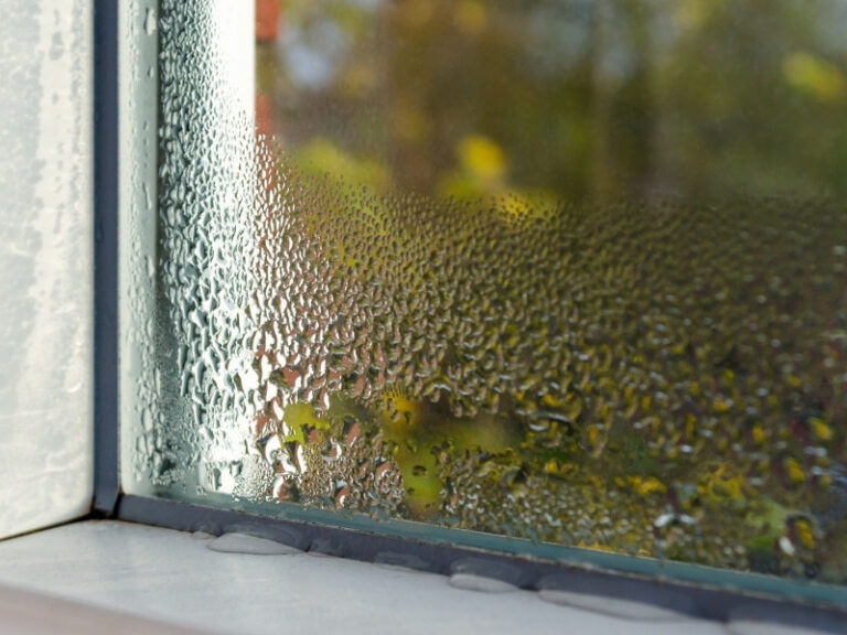 Can Humidity Damage Your AC in Sarasota, FL?